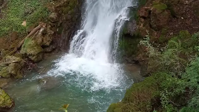 VID20230505144729.mp4