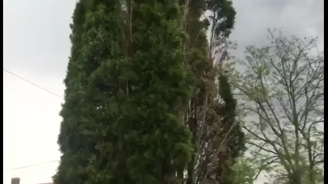 received_169796679057940.mp4