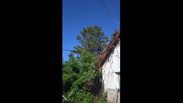 VID_20230508_161756.mp4