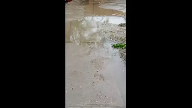 VID_20230514_185019.mp4