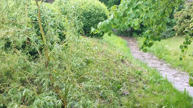 Áradás a Bozsoki pataknál