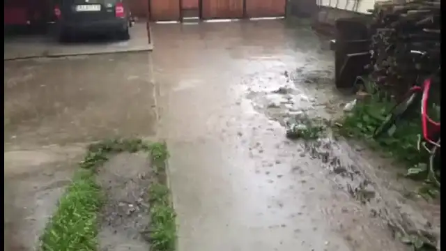 received_774796324154573.mp4