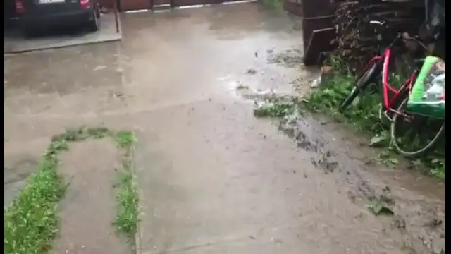 received_221610090601716.mp4