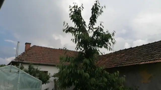 VID_20230522_180138.mp4