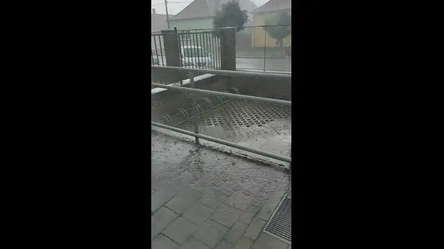 VID_20230523_125206.mp4