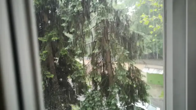 VID_20230523_162732.mp4