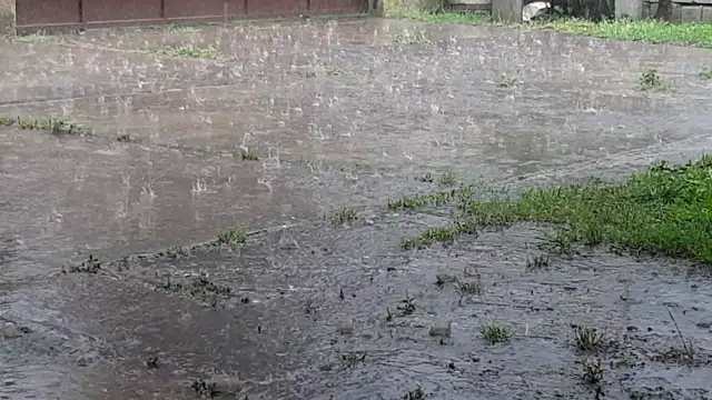 20230523_170440_001.mp4