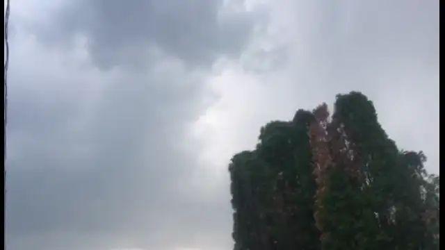 received_230040473081275.mp4