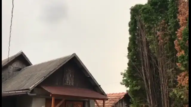 received_2479284445580532(0).mp4