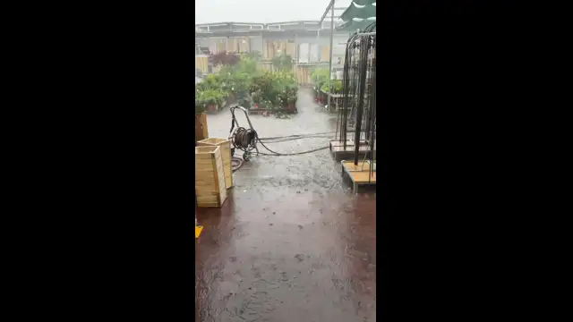 E6FCB326-E39E-41A9-BDB8-6E9FED68ABC5.mp4