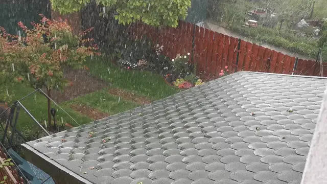 VID_20230602_121806.mp4