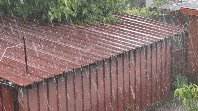 VID_20230602_122224.mp4