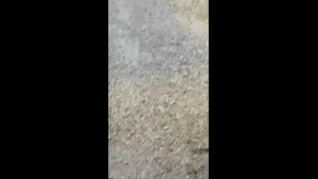 VID_20230605_170410.mp4