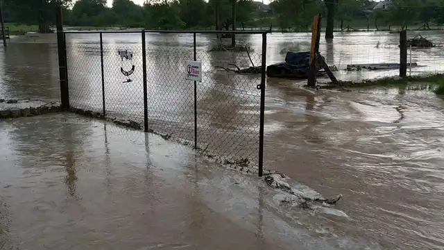 VID_20230530_161745.mp4