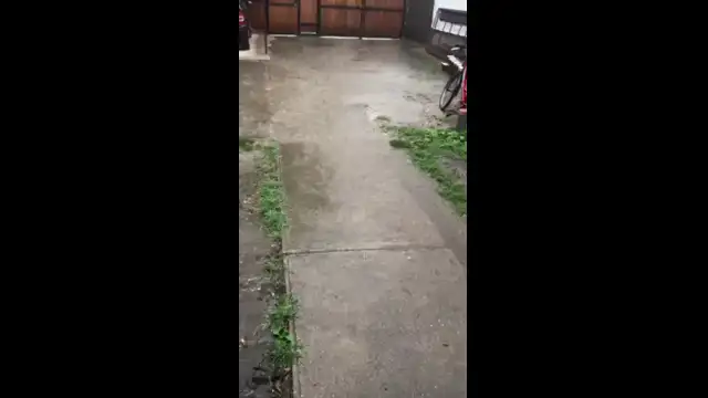 received_936771397541430.mp4