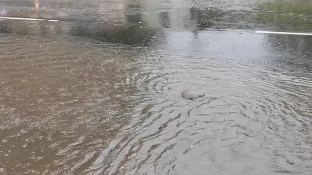 VID_20230606_143422.mp4