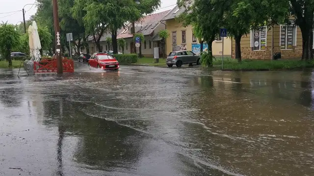 VID_20230606_144218.mp4