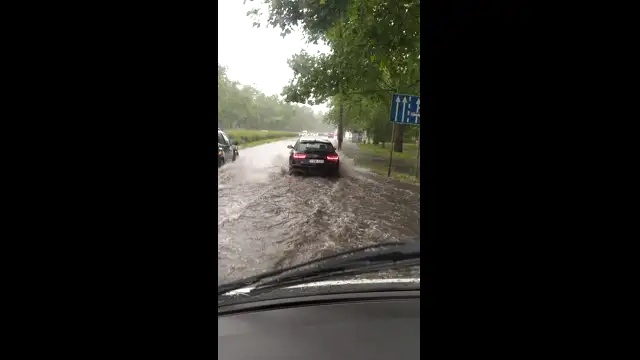 VID_20230606_143000.mp4