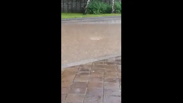 received_781761680216572.mp4