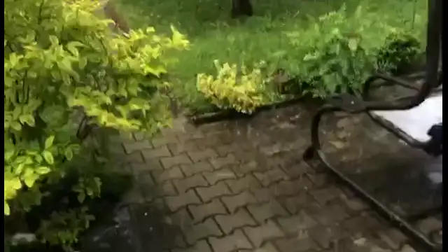 Dörgés és felhőszakadás Veszprémben!