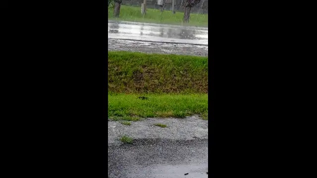 VID_20230608_152852.mp4