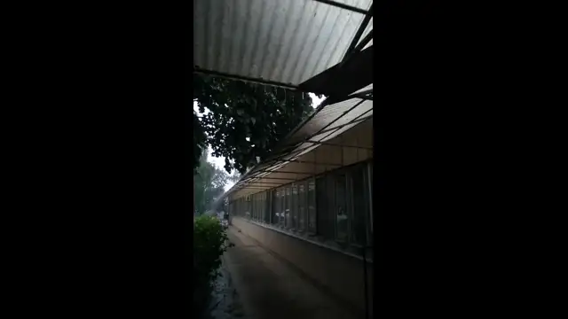 VID_20230609_055123.mp4