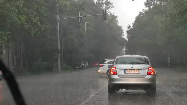 VID_20230609_082749.mp4