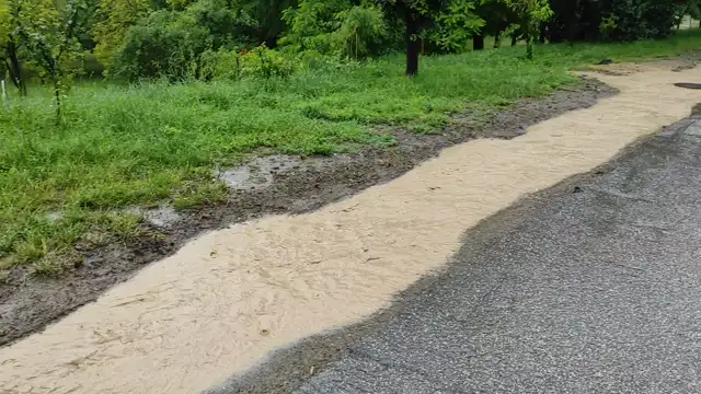 VID_20230609_101632.mp4