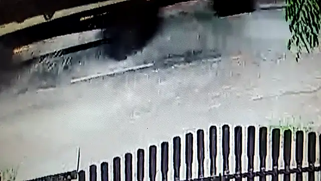 VID_20230609_120004.mp4