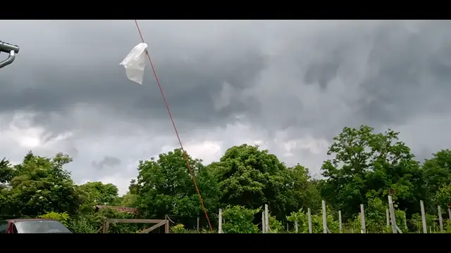 VID_20230609_124718603.mp4