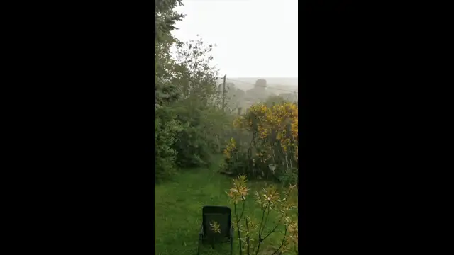 VID_20230609_164440.mp4