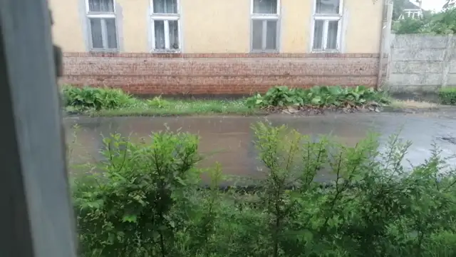 VID_20230610_110907.mp4