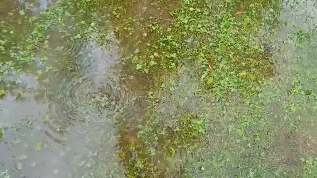 Kaposváron volt egy pici eső!