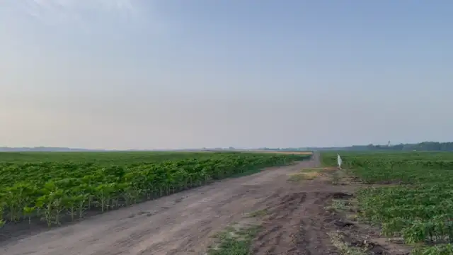 0D864BB5-3E87-4717-BD83-5FB2380A9E9D.mp4