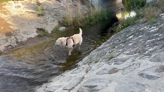 reggeli felfrissülés ❤️