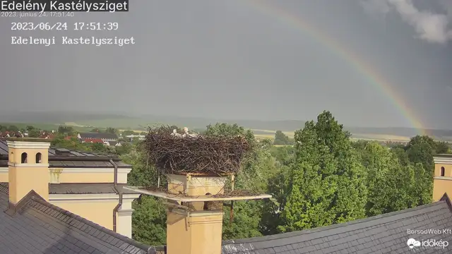 Hősiesen kitartottak az edelényi gólyák a viharban