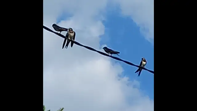 KÉRIK AZ ENNIVALÓT