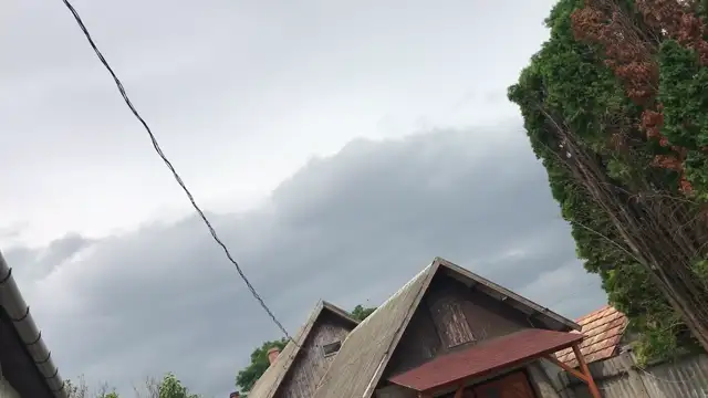 557E9B60-E462-423F-8D0D-640891E56EDC.mp4