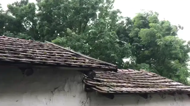 4386132E-1C30-427F-A857-C5A636EE6C50.mp4