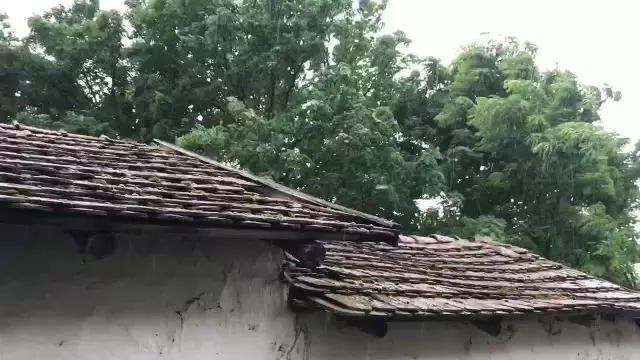 4386132E-1C30-427F-A857-C5A636EE6C50.mp4