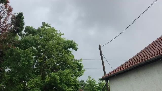 6F02E9C0-283A-4D79-B94E-028E6AB49BC3.mp4