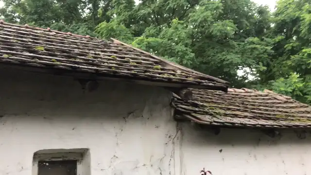 6048B36A-7F39-4D60-9AD8-8653B6F5E2CC.mp4