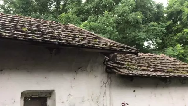 6048B36A-7F39-4D60-9AD8-8653B6F5E2CC.mp4