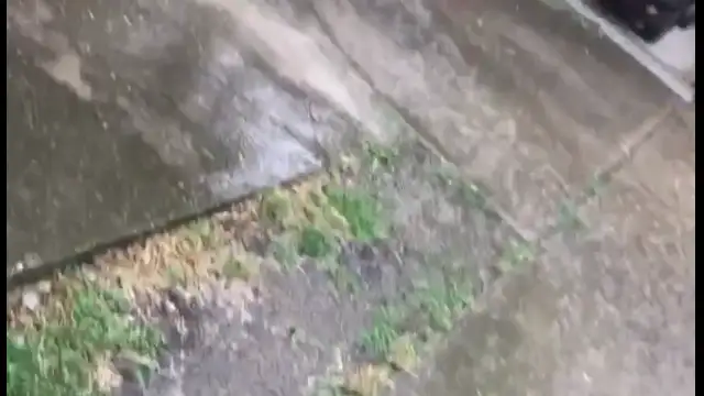 received_1797146564016807.mp4