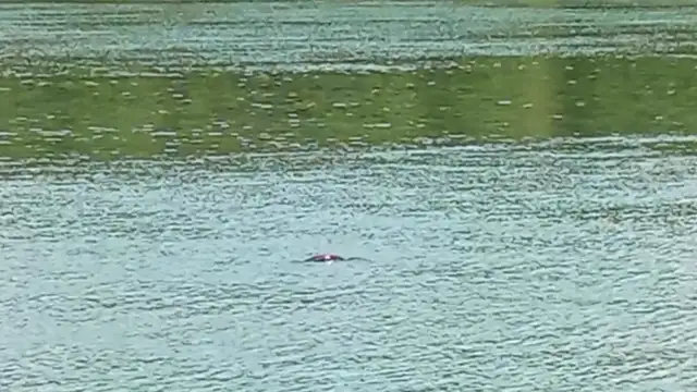 Csőre töltve vártam a telefonnal, mert láttam hogy lebukott a víz alá ☺️