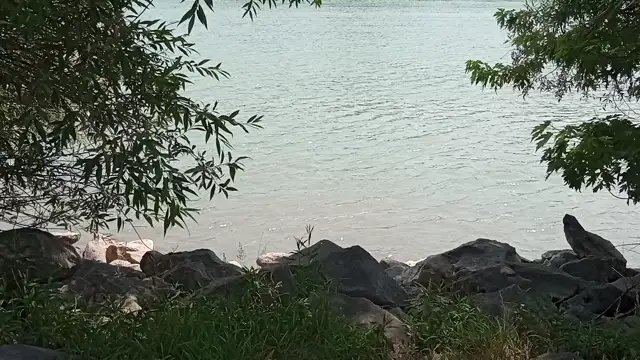 A Duna parton, dél tájban, árnyékban, jól eső szélben