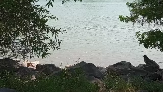 A Duna parton, dél tájban, árnyékban, jól eső szélben