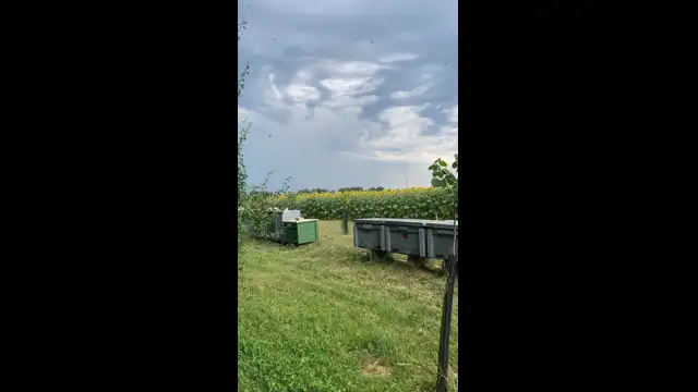 59972669-2530-4B47-A71A-8A59A357DD25.mp4