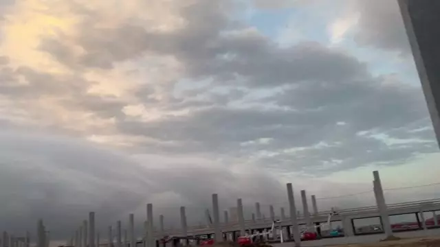 004536B2-E303-41E3-AEFC-6F6B7745945D.mp4