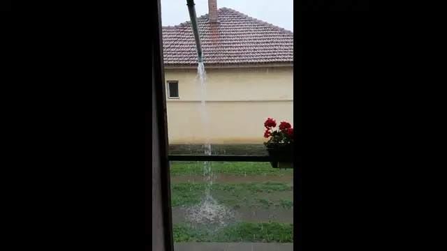 VID_20230713_082517.mp4